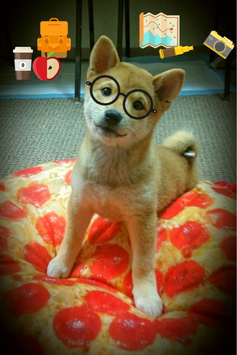 爱游戏APP-终场哨前的火焰，一个瑞士草根如何让安菲尔德沉默