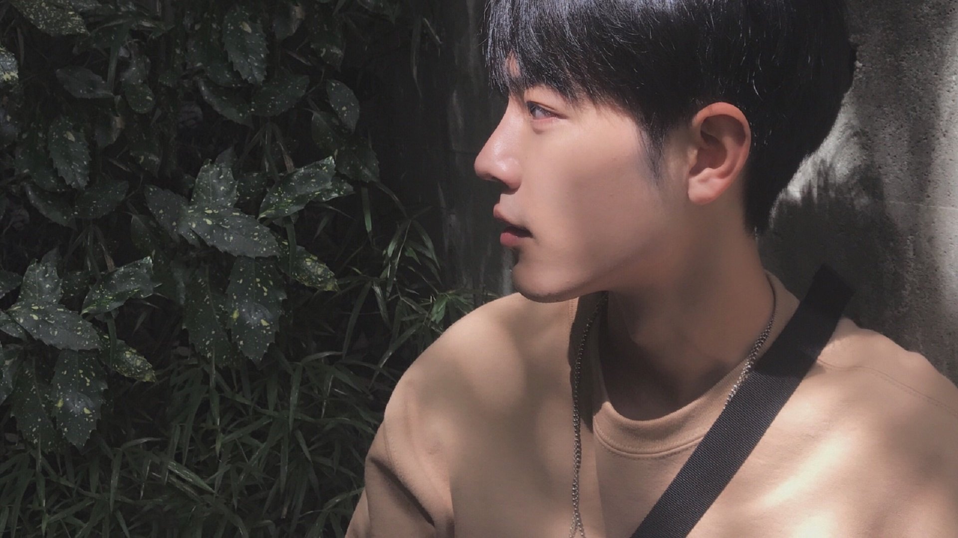 黑天鹅破冰，索伯史诗级胜利背后的中国光芒