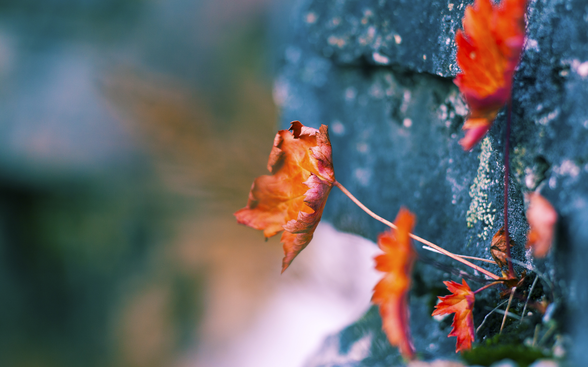 悬崖边的华尔兹，波尔一人扛起瑞典，在绝境边缘跳起胜利之舞