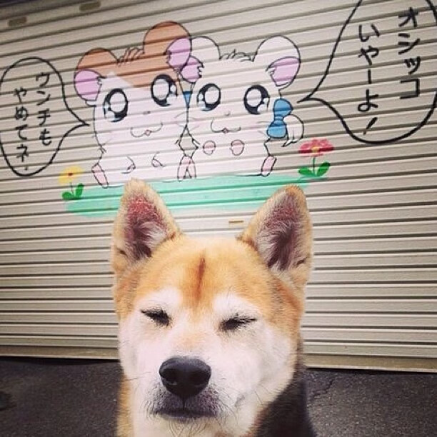 爱游戏体育-双星耀世，德意志战车的意志轰鸣与东方之刃的技术革命