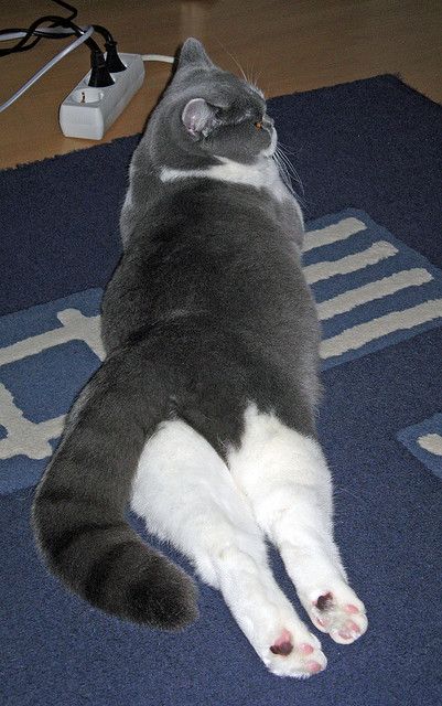 爱游戏入口-星光囚笼，那个在西甲国家德比之夜现身的无域杀手