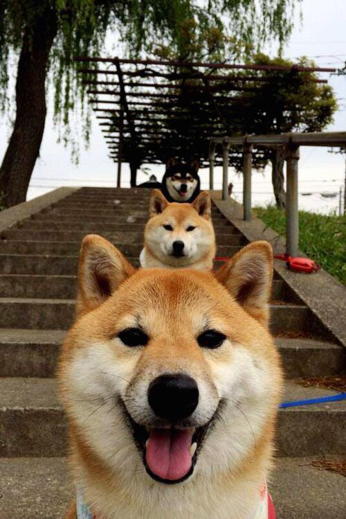 爱游戏在线-平行宇宙的篮球狂欢，当尼克斯降临上海滩，利拉德于总决赛封神