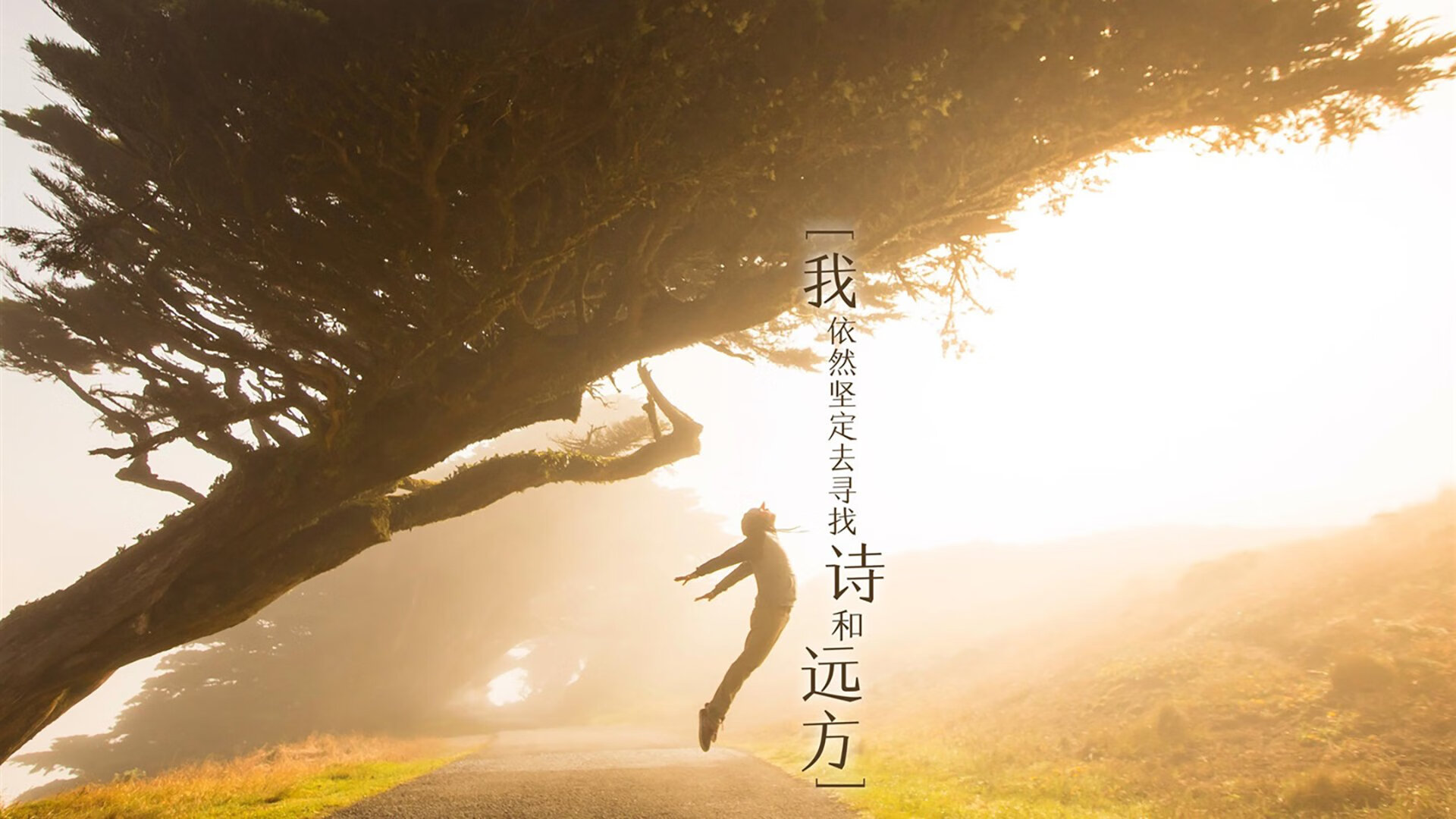 唯一性，利拉德的压制级宣言—开拓者终结热火主场神话