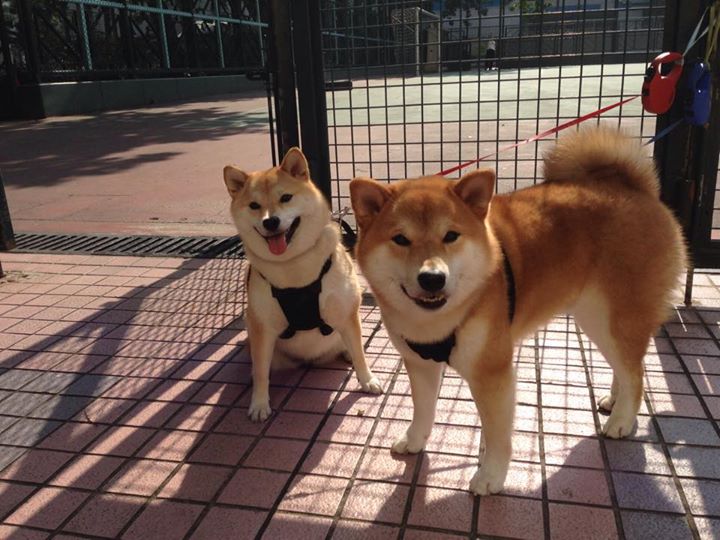 绝杀！当里程碑被挡在门外的瞬间，另一场胜利正在尖叫