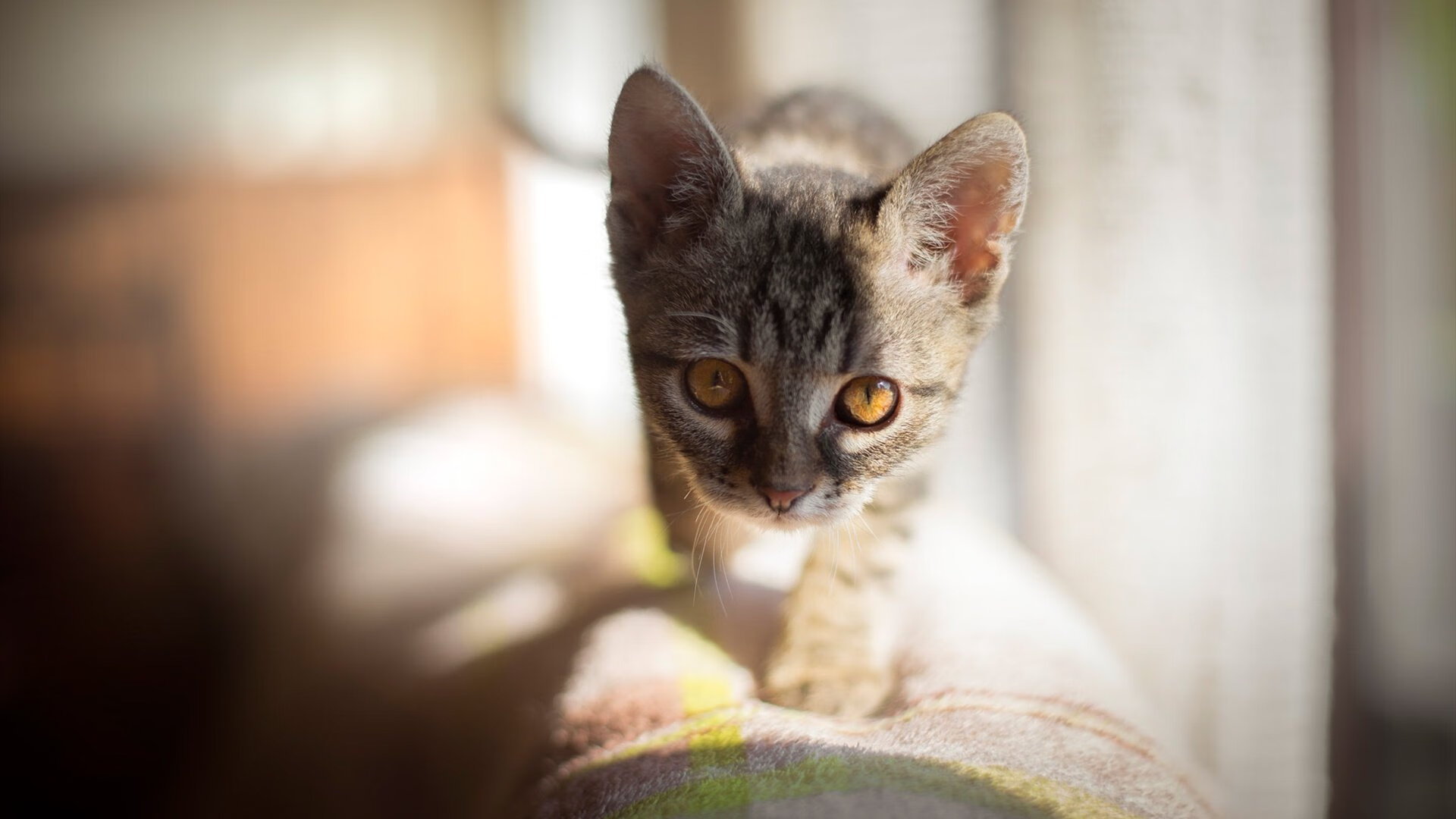 爱游戏官网-蔚蓝逆袭，当摩纳哥的浪涛吞没德意志铁骑—记一场颠覆预期的欧冠史诗