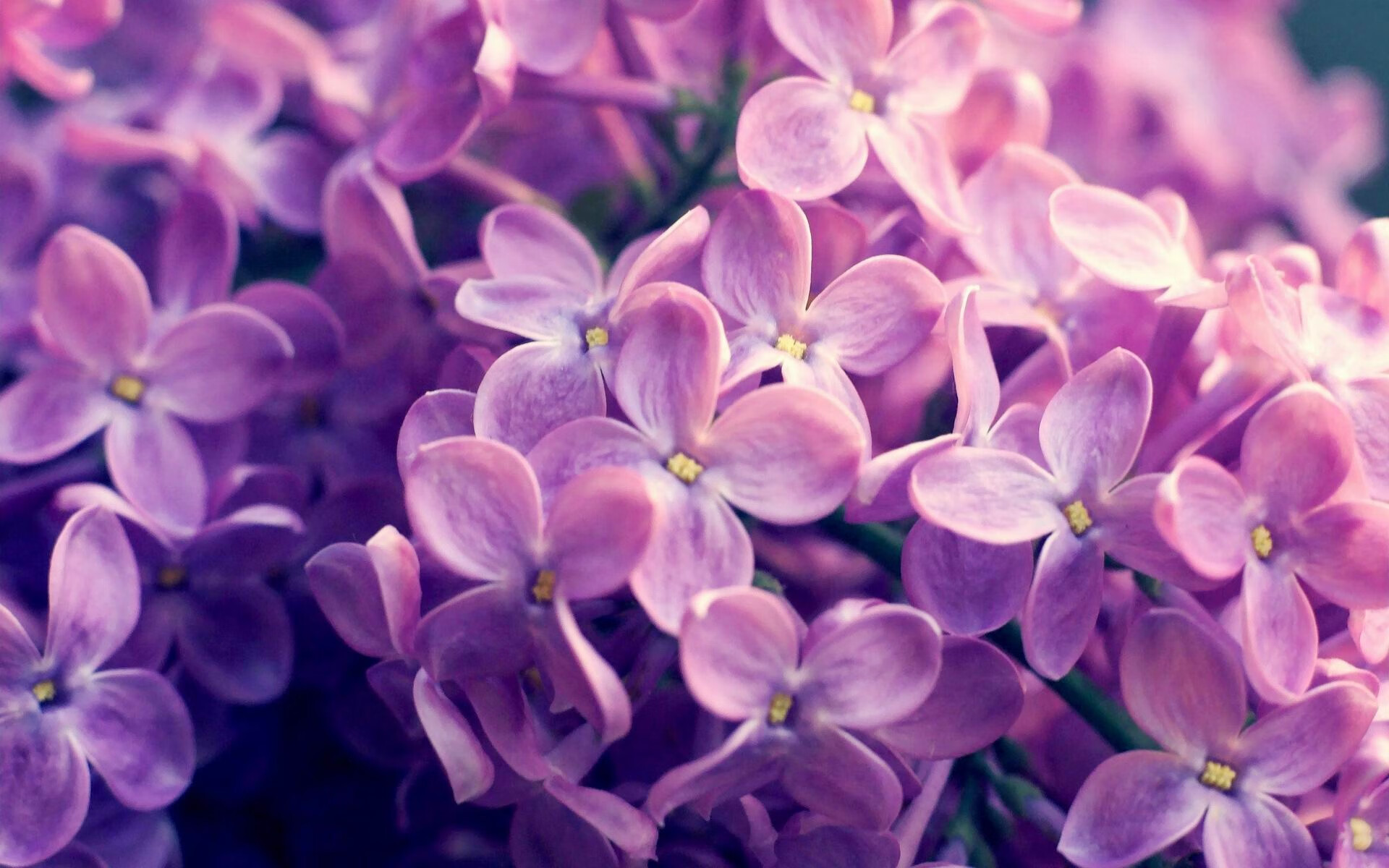 小贾伦末节封神！太阳逆转步行者，三巨头外他才是真杀器