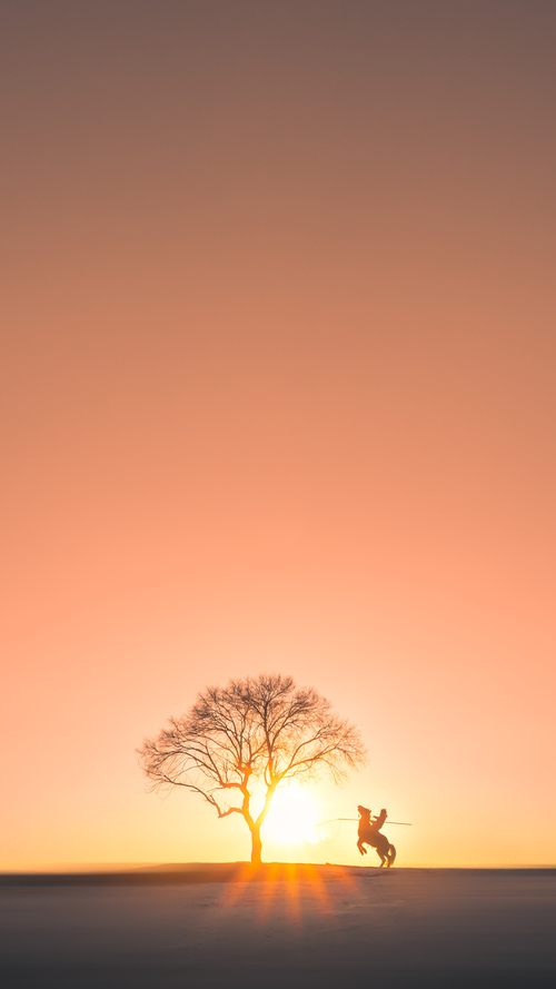 错位的胜利与传承的荣耀，跨域焦点战中的体育精神交响