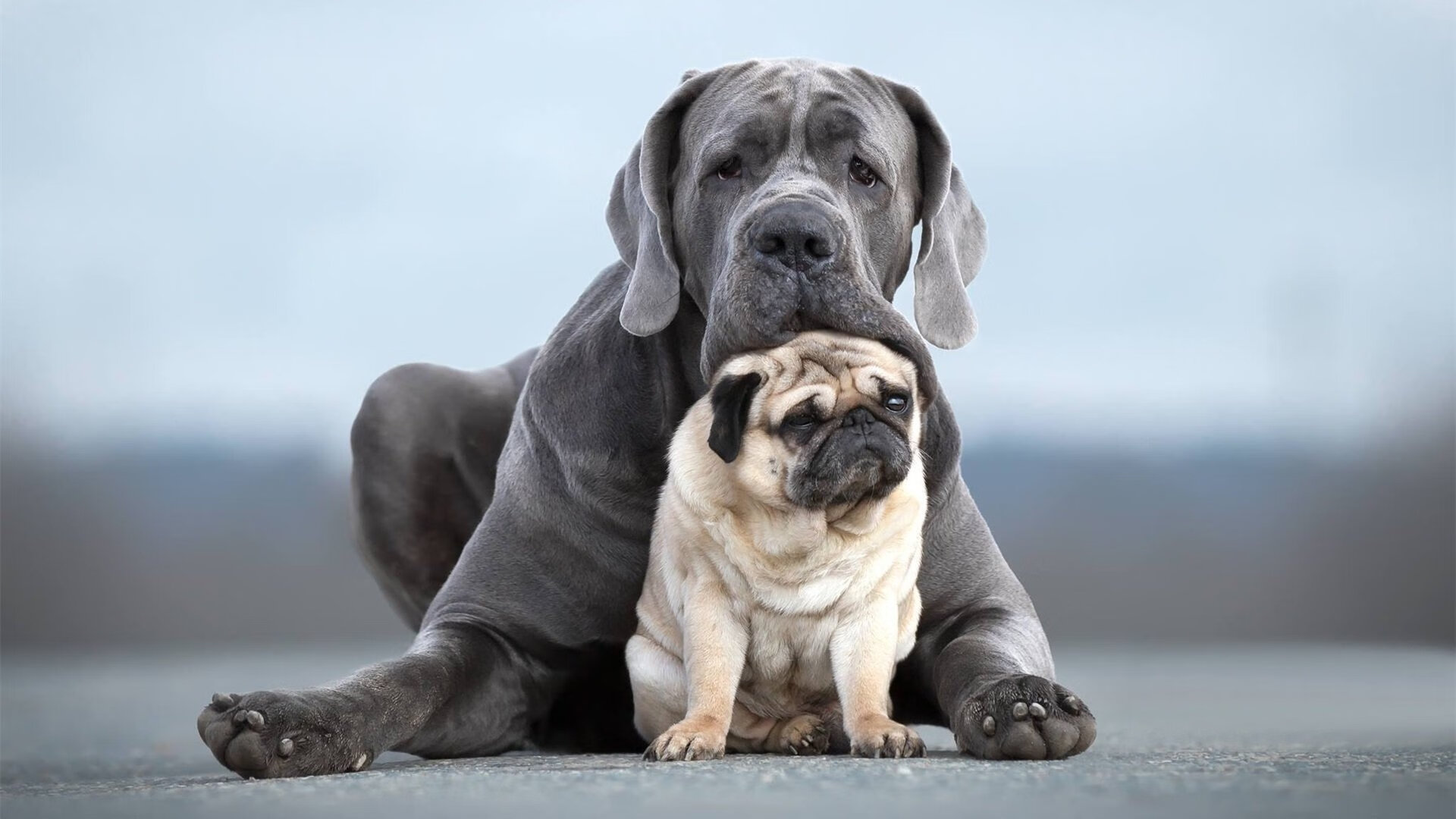 绿茵艺术,当法比尼奥的防守交响乐在尤文对阵哥伦比亚的虚构夜晚奏响
