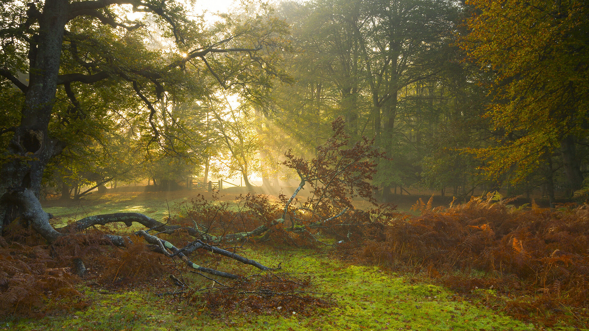 跨界唯一性，当克莱统治全场，吉林队全面压制鹈鹕