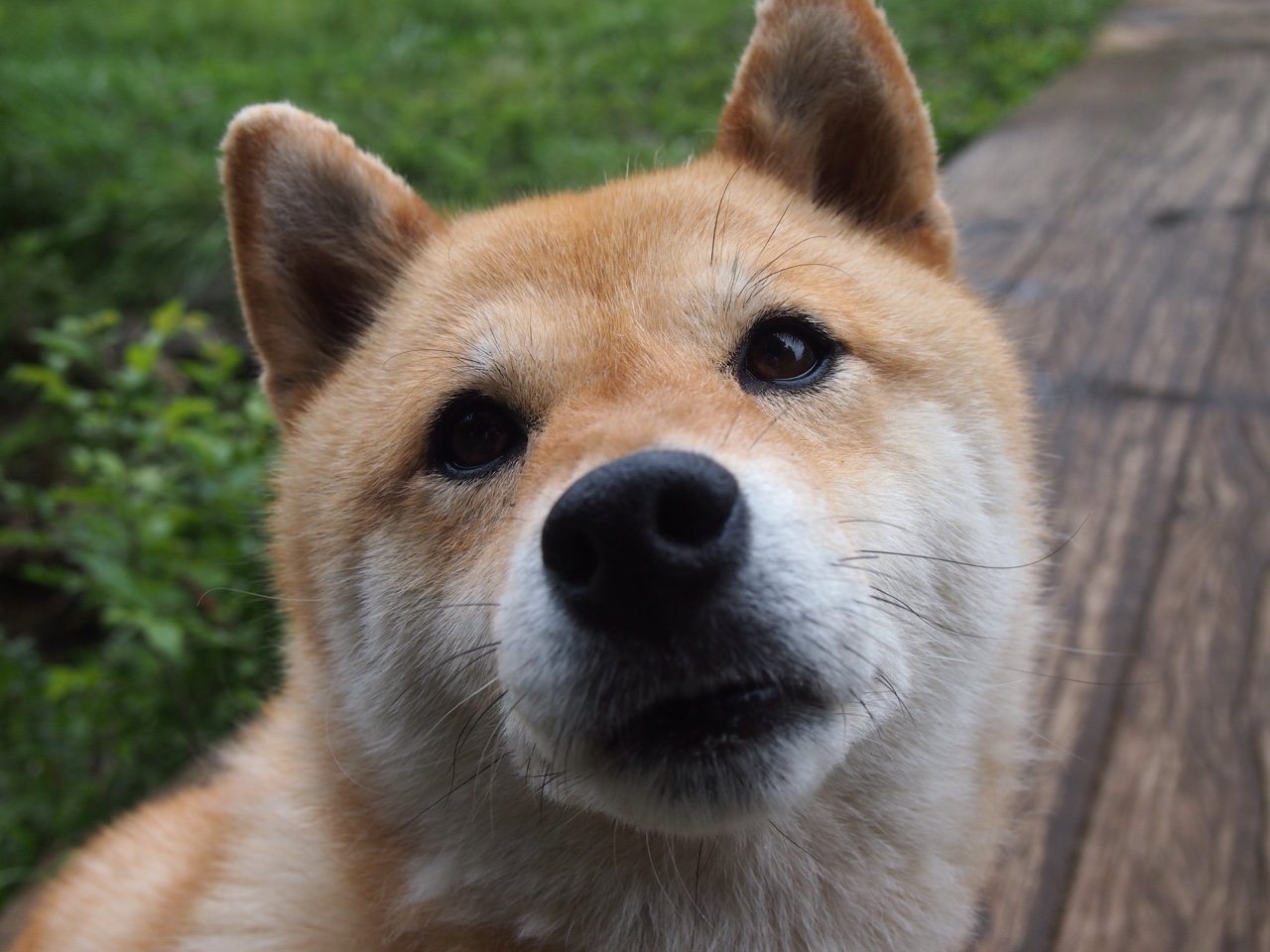 从边翼到核爆点，解码阿什拉夫欧冠之夜如何用数据重新定义唯一性