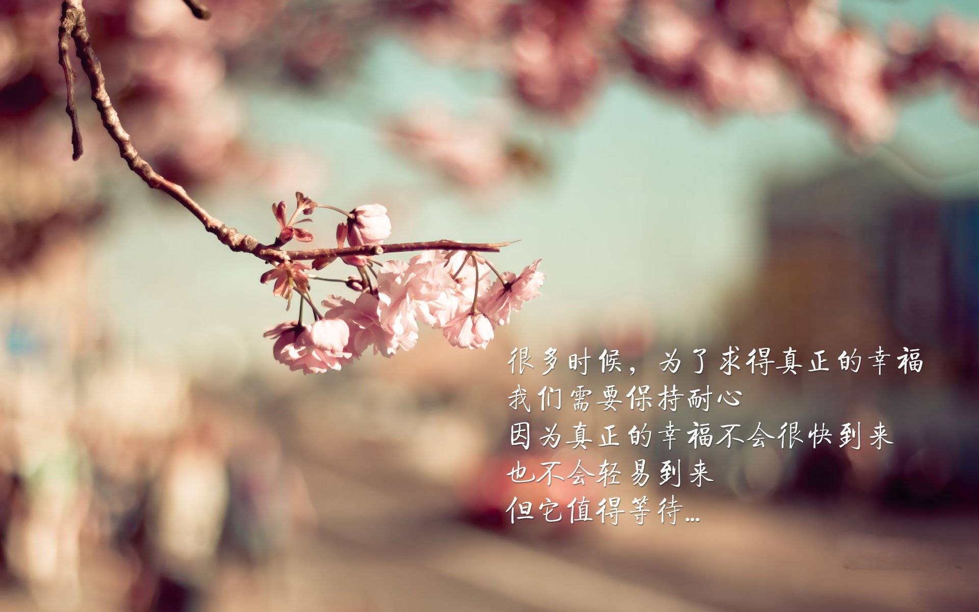 2026世界杯E组暗战,久保建英导演加纳之殇,葡萄牙的亚洲之眼如何破局