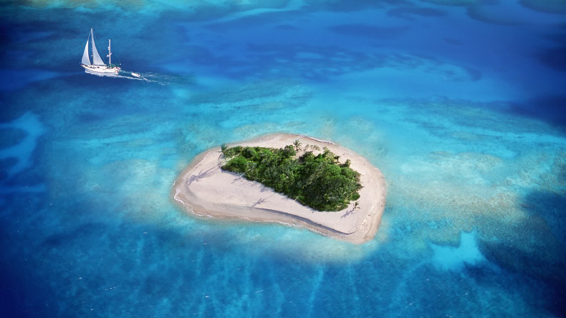 铁血橙衣与非洲雄狮的宿命对决，范戴克一人定乾坤，喀麦隆完胜厄瓜多尔引爆2026世界杯B组